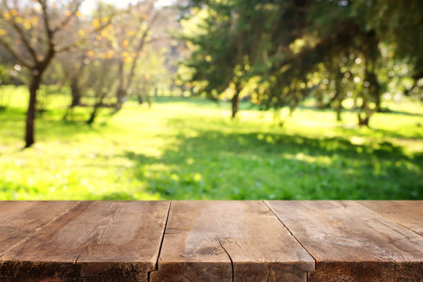 istock Empty rustic table in front of countryside background. product display and picnic concept 2206493463