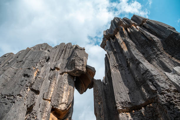 The natural beauty of the karst stone forest attracts tourists