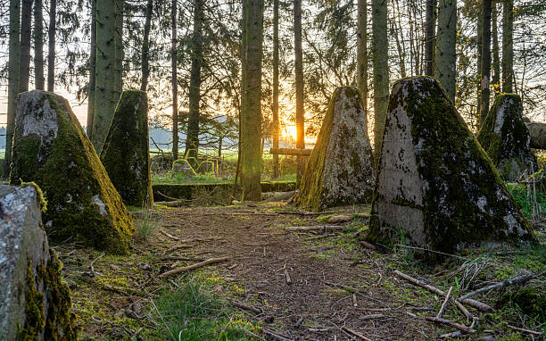 istock Westwall, Eifel, North Rhine Westphalia, Germany 2206497398
