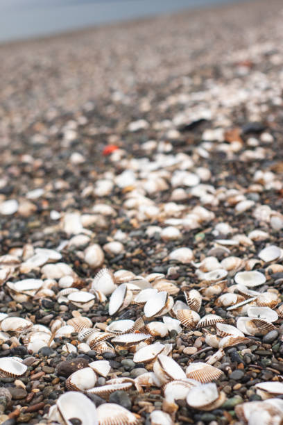 Sand and small pebble stones background