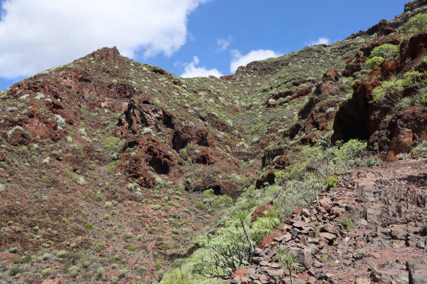 istock Mountain in Tenerife island Spain 2206502870