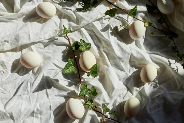 istock Spring nature decor with white eggs and fresh ivy leaves for Easter celebration 2206505164