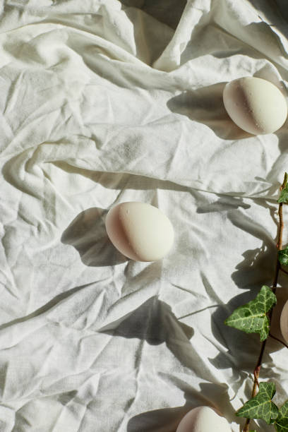 istock Spring nature decor with white eggs and fresh ivy leaves for Easter celebration 2206505174