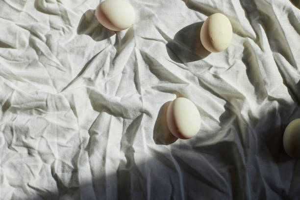 Easter-themed still life with white eggs arranged on a wrinkled fabric backdrop capturing spring's festive spirit