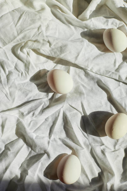 istock Easter-themed still life with white eggs arranged on a wrinkled fabric backdrop capturing spring's festive spirit 2206505186