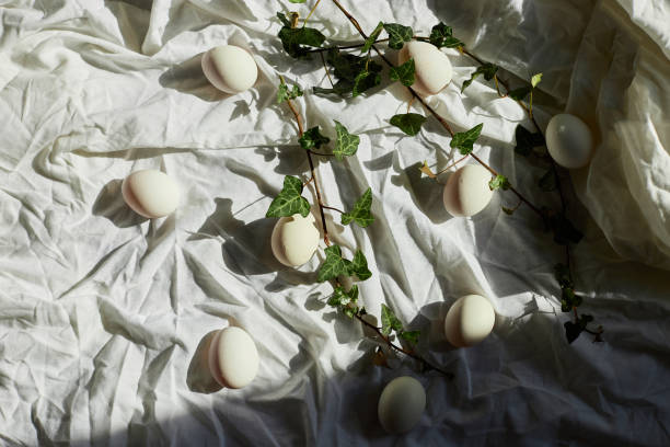 istock Spring nature decor with white eggs and fresh ivy leaves for Easter celebration 2206505191