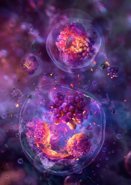 istock Anaplasma bacteria cellular structure. Anaplasma, genus of bacteria that causes anaplasmosis 2206508570