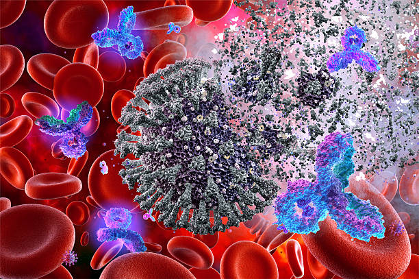 istock Antibodies attacking virus in the bloodstream 2206508670
