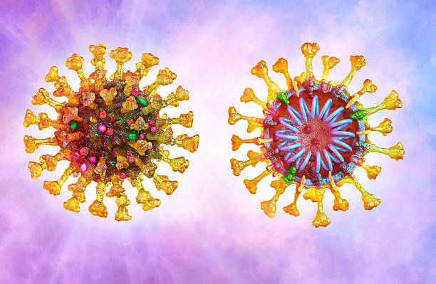 istock Structure of influenza virus, coronavirus cell. Appearance and cross section of the pathogen 2206508789