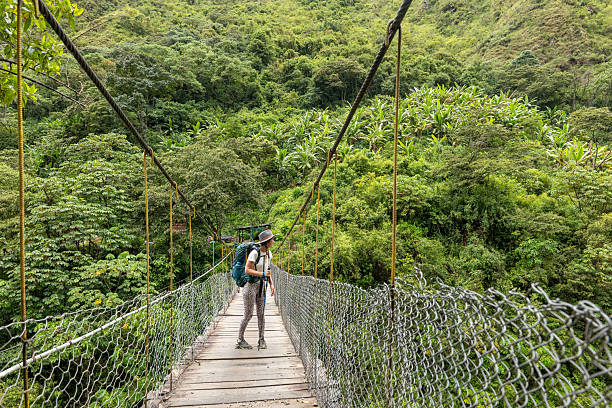 istock Female hiker walking on suspension bridge in tropical forest 2206508795