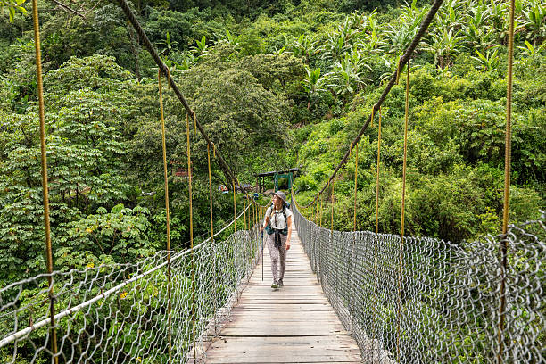 Adventurous hiker on suspension bridge amid dense greenery. Solo traveler trekking through vivid rainforest. Outdoor enthusiast exploring remote natural landscapes.