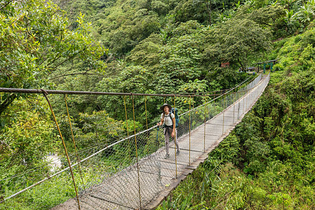 istock Hiker Crossing Rope Bridge in Lush Jungle 2206508806