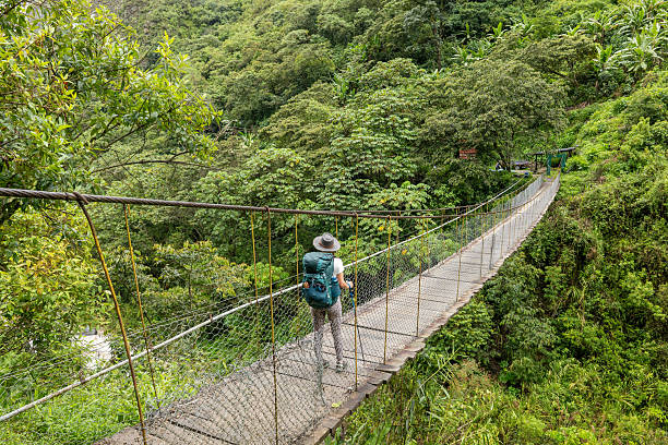istock Female hiker walking on suspension bridge in tropical forest 2206508821
