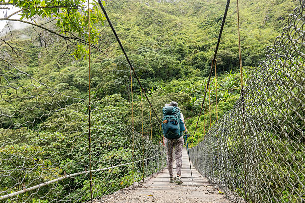 istock Hiker Crossing Suspension Bridge in Lush Forest 2206508853