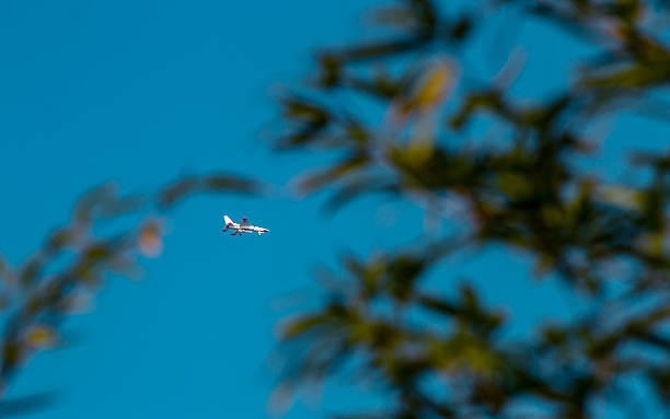 istock flying fighter aircraft in sky 2206513141