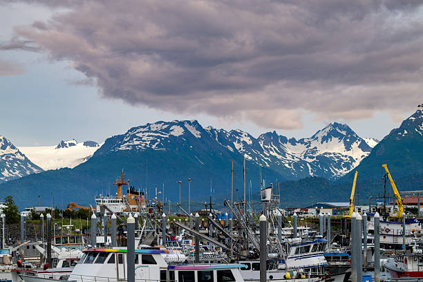 Boats moored in the Harber in Homer Alaska