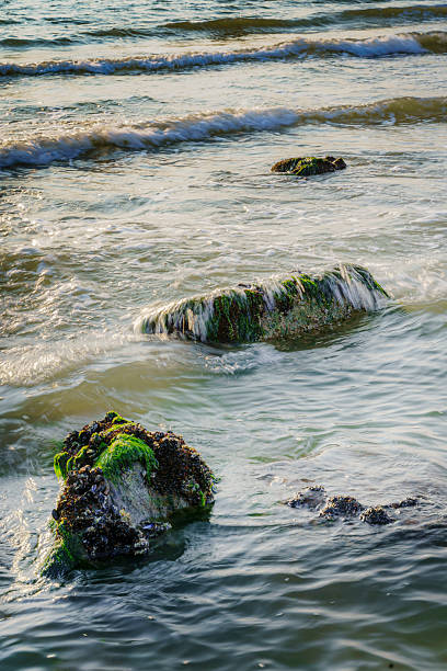 istock Rocks and basalt blocks along the North Sea coast washed over by waves. 2206516717