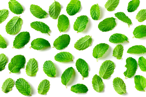 istock Fresh peppermint isolated on white background. top view of Peppermint leaf, It is widely used in food, beverages, cosmetics, and medicinal products due to its natural menthol content. background concept 2206517889