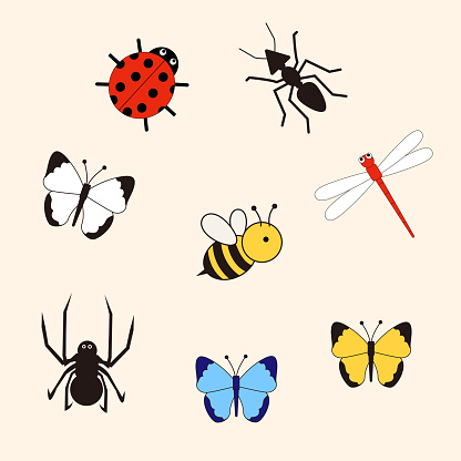Manga Bug Raster Cute Insect Collection A Manga Inspired Illustration Set Stock ...
