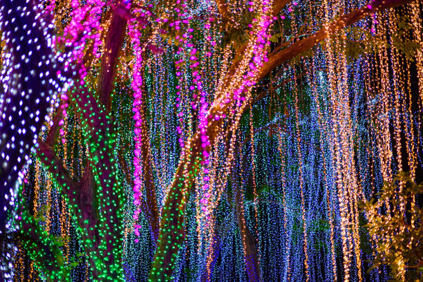 istock Colorful Bokeh Lights Abstract Background. bokeh background with bright lights 2206518590