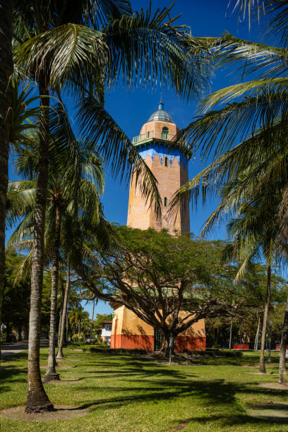 A striking view of the historic Alhambra Water Tower in Coral Gables, Florida, framed by swaying palm trees under a vibrant blue sky. Originally built in 1924, this Mediterranean Revival-style structure was designed to look like a lighthouse and remains a beloved architectural landmark.