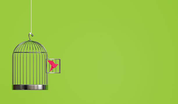 istock A pink paper bird escaping its cage against a vibrant green backdrop. 3D rendered creativity at its finest 2206519702