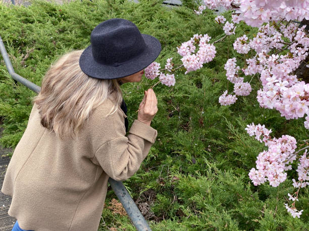 Senior woman Traveling in Spring  in the Limburg Country.