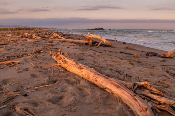 Long exposure at Rathtrevor Beach Provincial Park, Parksville, Vancouver Island, British Columbia, Canada