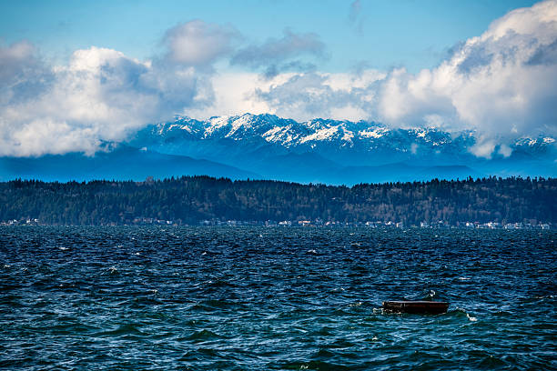 istock Puget Sound Mountain Scene 2206525354