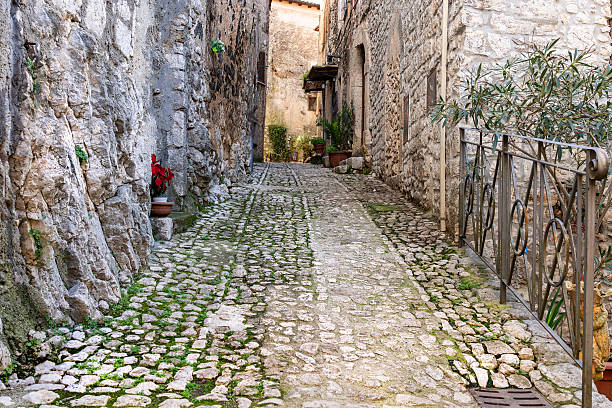 stone-clad pedestrian alleyway runs between buildings also made of stone from an old rural village on the ground on one side a vase of red Christmas flowers
