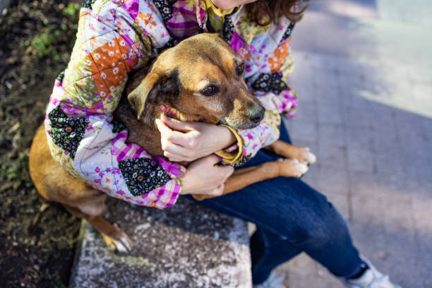 Woman and her rescued dog enjoying a walk outdoors