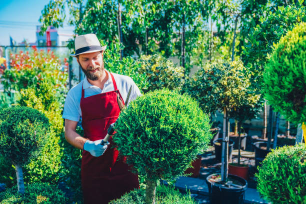 istock Gardener pruning plants in garden center 2206539762