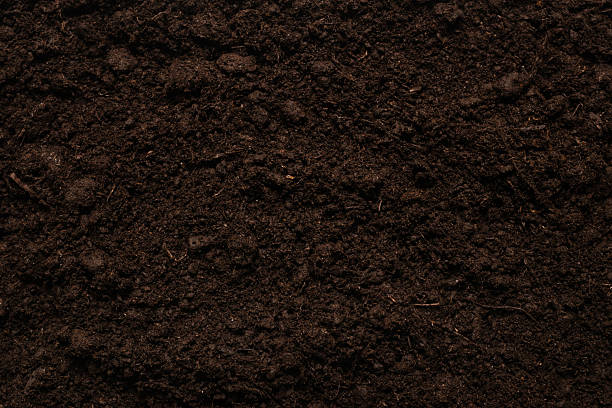 istock Black land for plant background. 2206540747