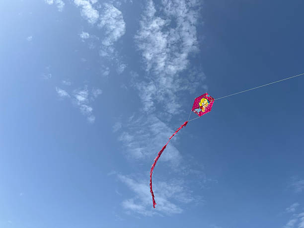 istock Kite,flying, red kite, sky, wind, nature, wind 2206545052