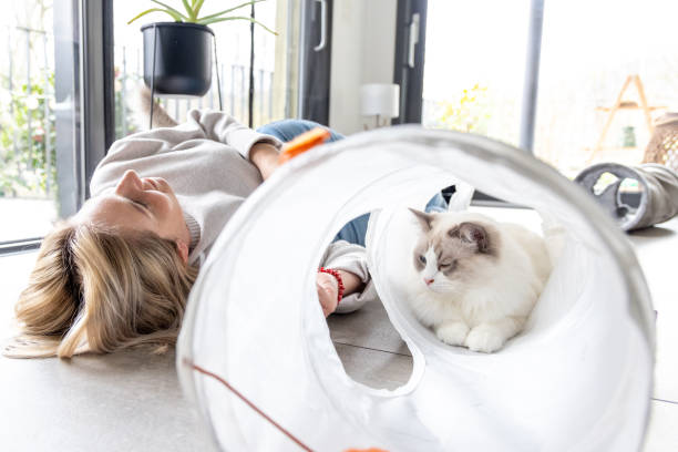 istock Woman playing with her rag doll cat at home 2206552150
