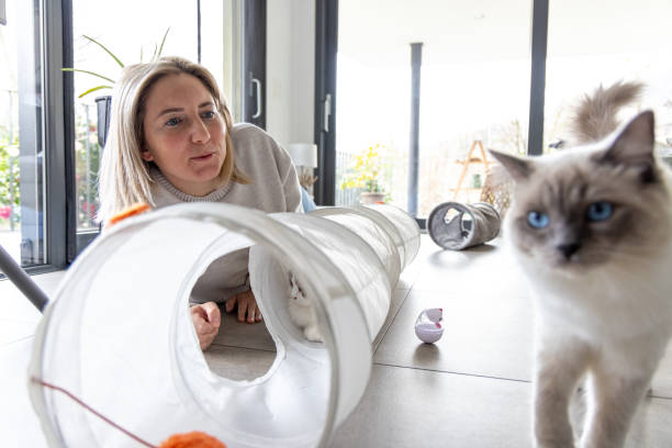 istock Young woman on the floor resting with her two cats 2206552158