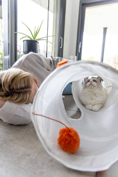 istock Woman playing with her rag doll cat at home 2206552227