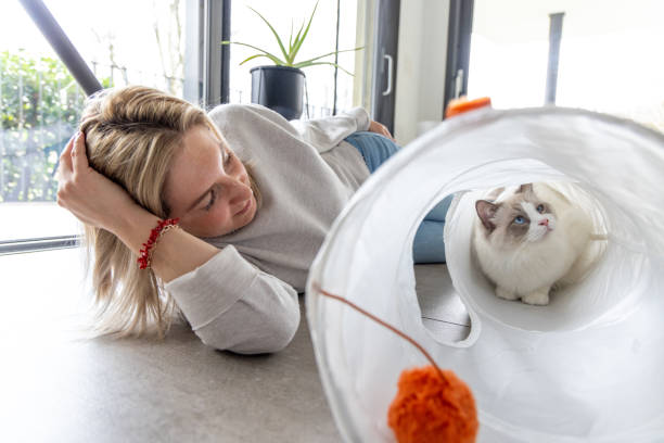 Woman playing with her rag doll cat at home