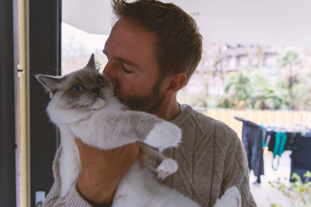 istock Man playing with his rag doll cat at home 2206552496