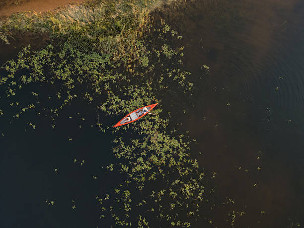 istock Tandem canoe ride on a tranquil lake among water lily fields 2206556333
