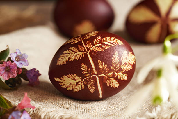 Close up of a brown Easter eggs dyed with onion skins, with spring flowers - lungwort and snowdrops