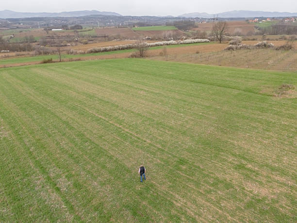 Farmer at his green wheat agricultural field in springtime