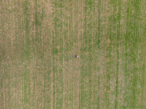 Farmer at his green wheat agricultural field in springtime
