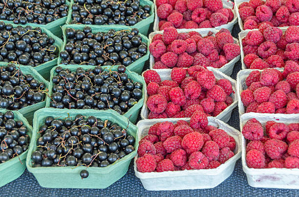 Berries for sale at a Swedish market