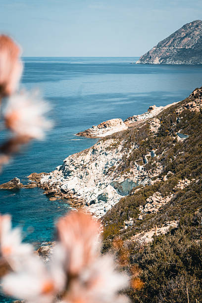 Elevated view of rugged coastline and sea, Corsica