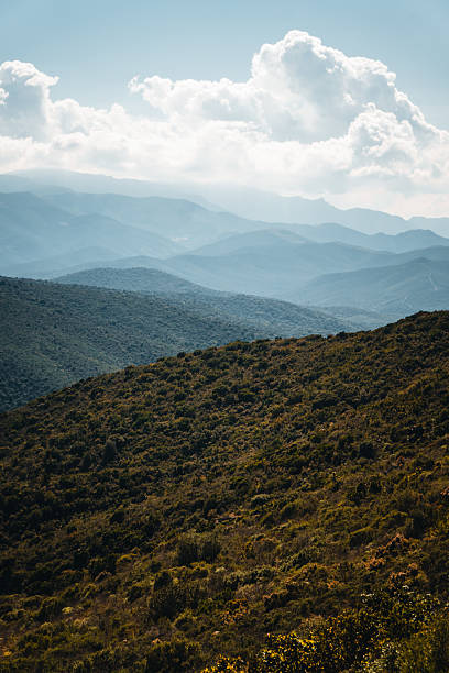 Aerial view of forested mountain range, Corsica