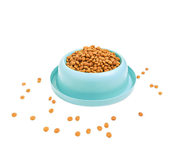 istock Dry cat food in a bowl isolated on a white background 2206580898