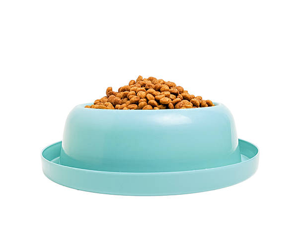 istock Dry cat food in a bowl isolated on a white background 2206580904