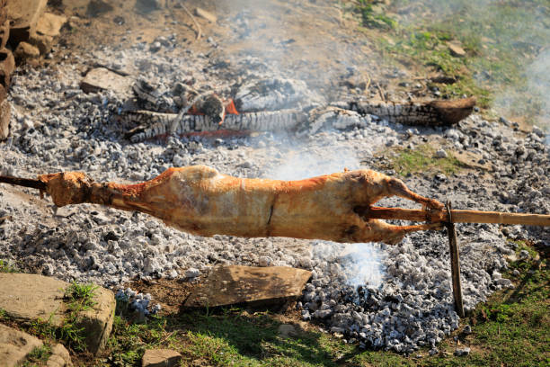Lamb on a spit Greek style, Whole lamb on a rotisserie spit, Open fire Spit Roasting Lamb for Greek Easter