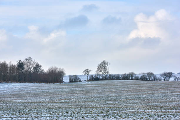 Snow blankets the fields of Majorca, Spain, creating a serene winter landscape. Sparse trees and shrubs dot the horizon while soft clouds hang overhead, adding a peaceful and contemplative atmosphere.